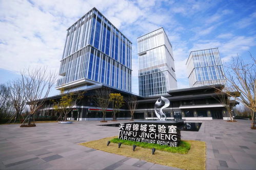 四川出臺(tái)意見(jiàn)支持成都加快高質(zhì)量發(fā)展